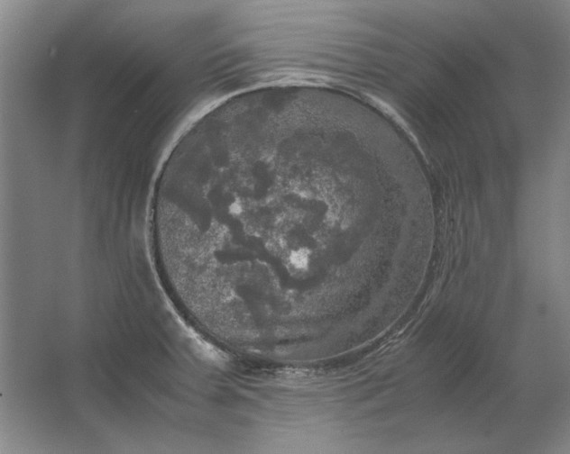 X0000062921379200601271754