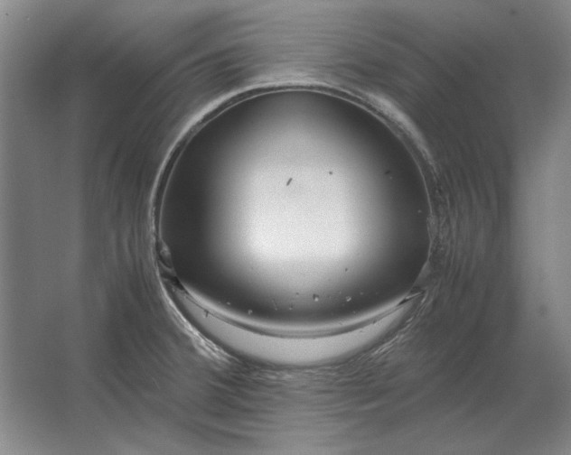 X0000062921380200601271754