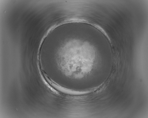 X0000062921381200601271754