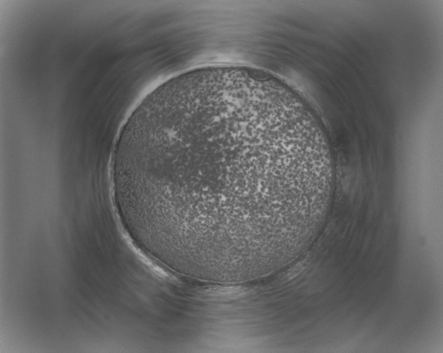 X0000062921382200601271754