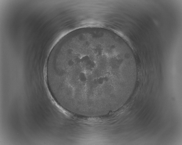 X0000062921383200601271754