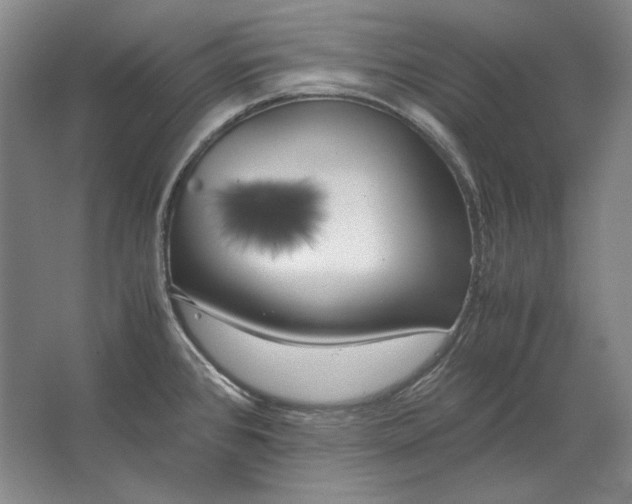 X0000062921384200601271754