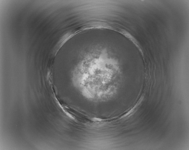 X0000062921385200601271754