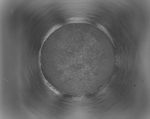 X0000062921386200601271754