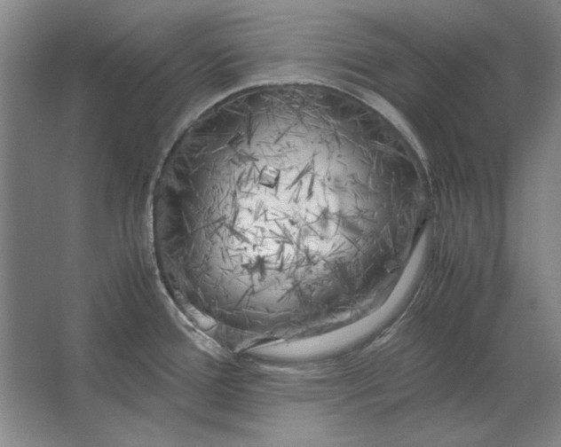 X0000062921388200601271754