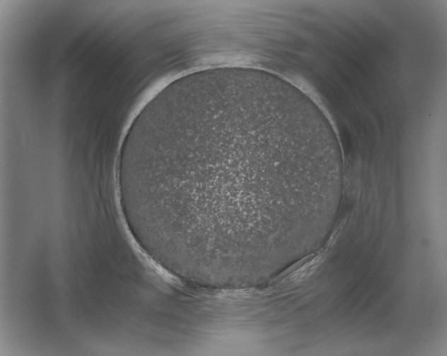 X0000062921389200601271754