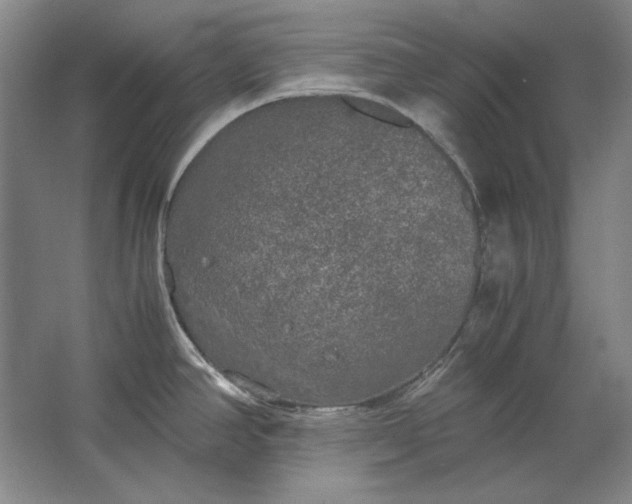 X0000062921390200601271754