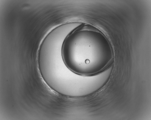 X0000062921392200601271754