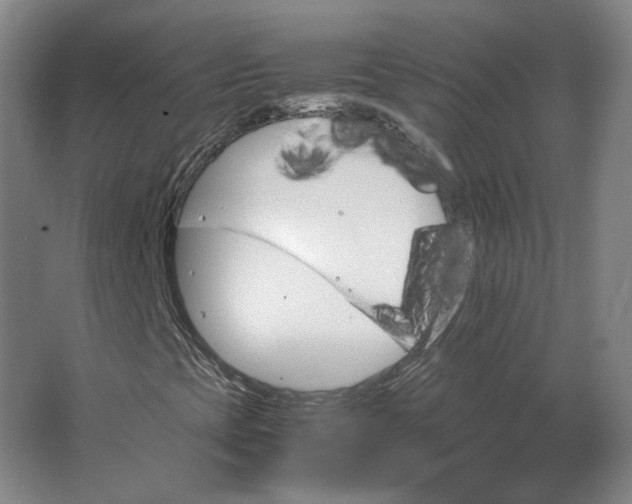 X0000062921393200601271753