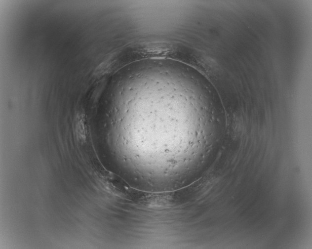 X0000062921394200601271753