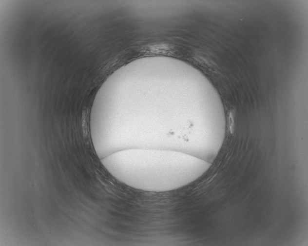 X0000062921395200601271753