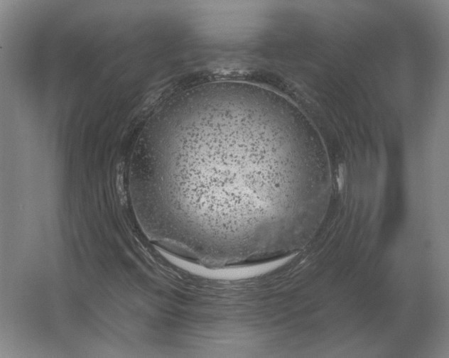 X0000062921396200601271753