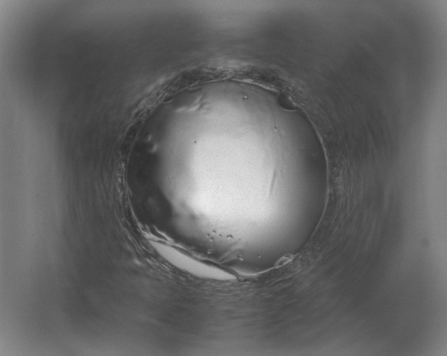 X0000062921397200601271753