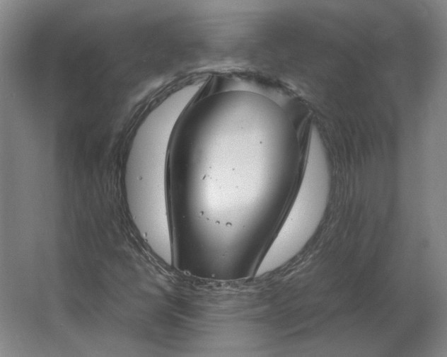 X0000062921398200601271753