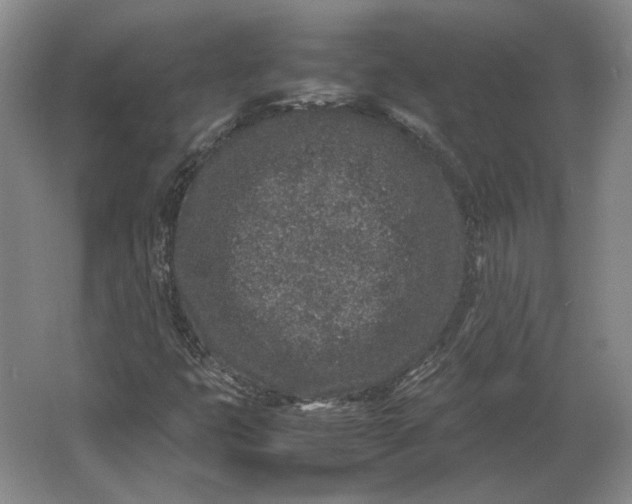 X0000062921399200601271753