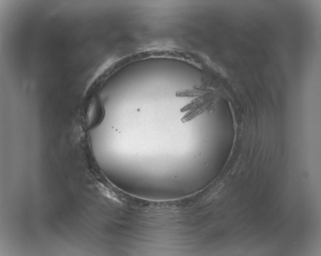 X0000062921400200601271753