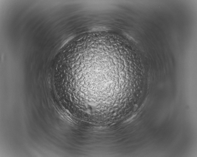 X0000062921401200601271753