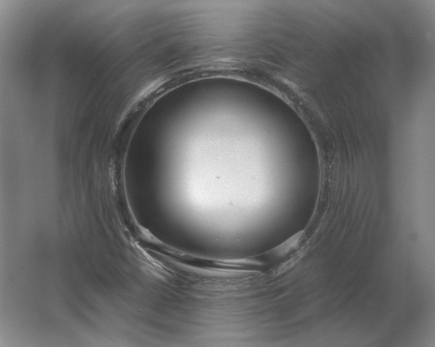 X0000062921402200601271753