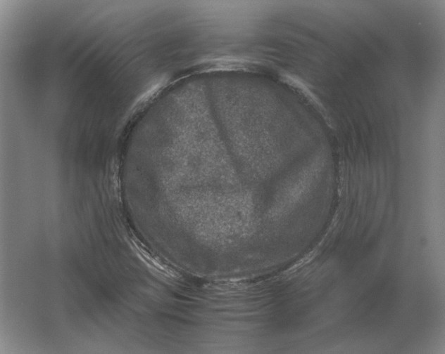 X0000062921403200601271753