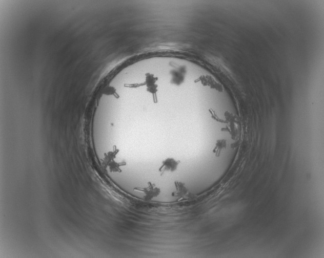 X0000062921404200601271753