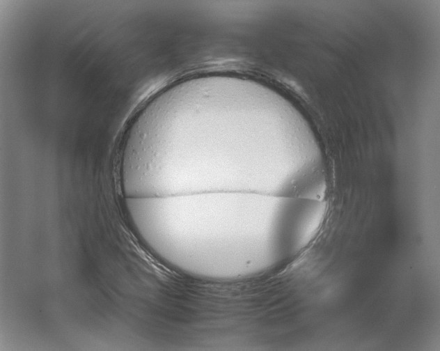 X0000062921405200601271753