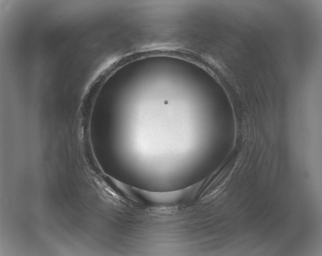 X0000062921406200601271753