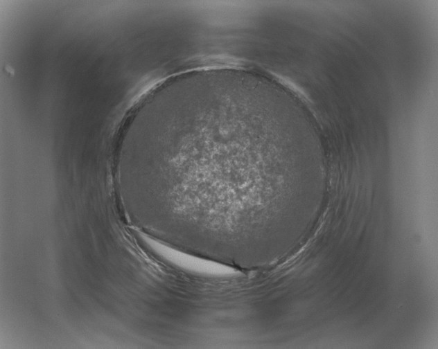 X0000062921407200601271753