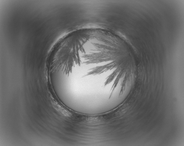 X0000062921408200601271753