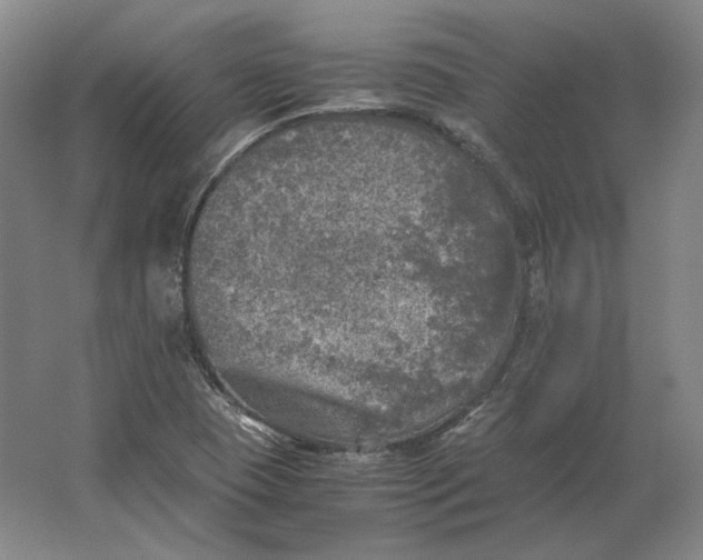 X0000062921409200601271753