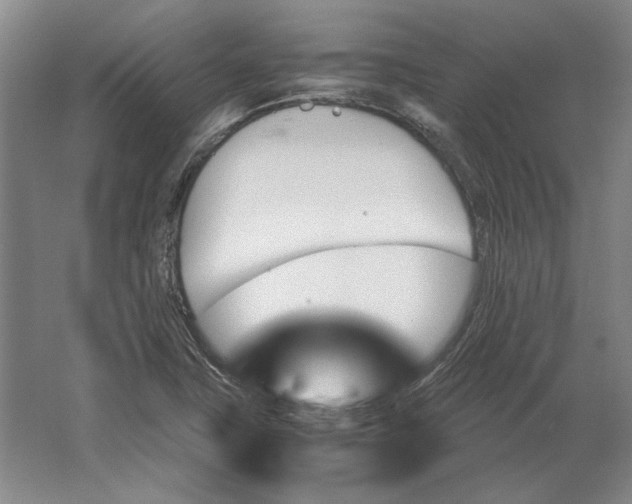 X0000062921411200601271753