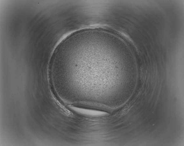 X0000062921412200601271753