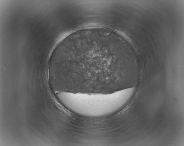 X0000062921413200601271753