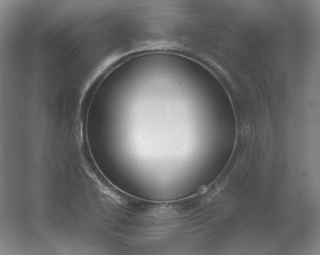 X0000062921414200601271753