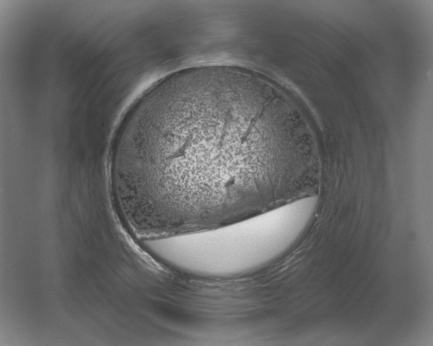 X0000062921416200601271753