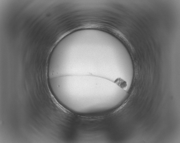 X0000062921417200601271753