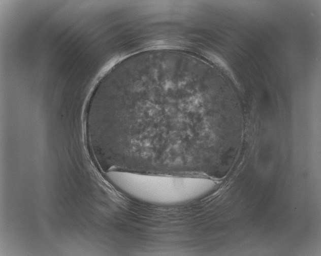 X0000062921419200601271753