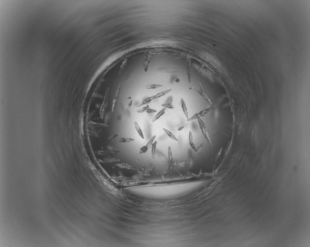 X0000062921420200601271753