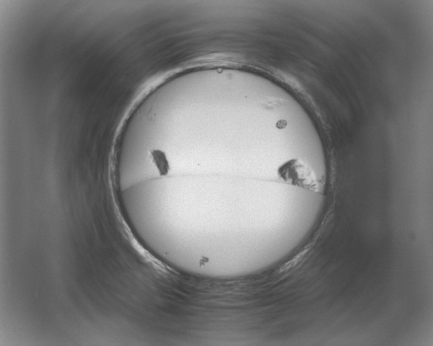 X0000062921421200601271753