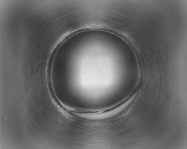 X0000062921422200601271753