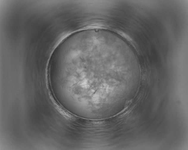 X0000062921423200601271753