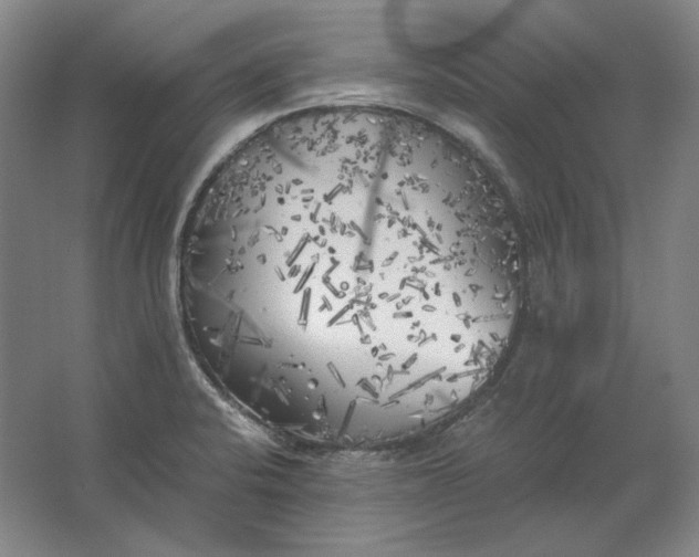 X0000062921424200601271754