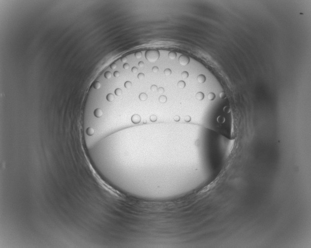 X0000062921425200601271754