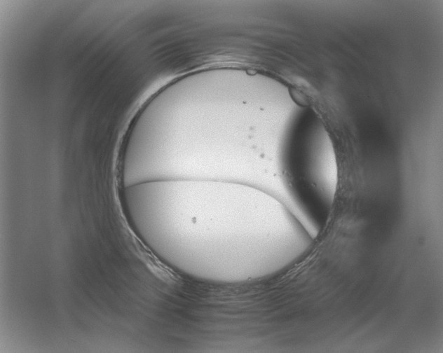 X0000062921427200601271754