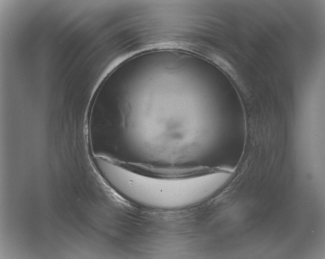 X0000062921428200601271754