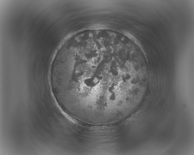 X0000062921429200601271754