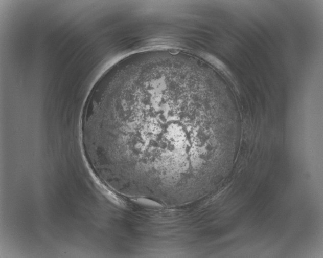 X0000062921431200601271754