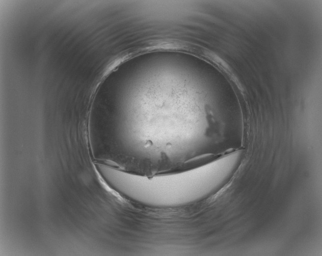 X0000062921433200601271754