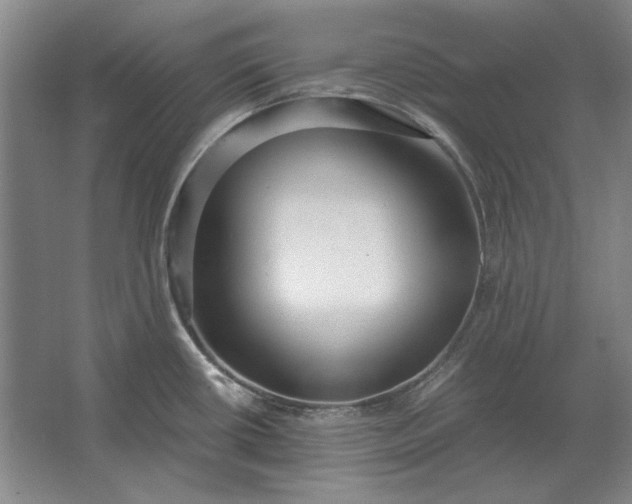 X0000062921434200601271754