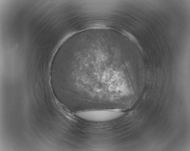 X0000062921435200601271754