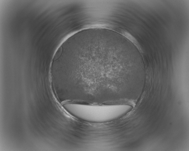 X0000062921436200601271754